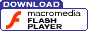 aggiorna il tuo flash player....